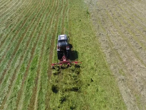 Hay harvesting - Tractor in the fields Stock Footage 76800946