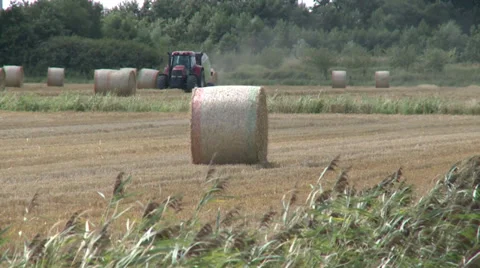 Hay - HD Stock Footage 27843909