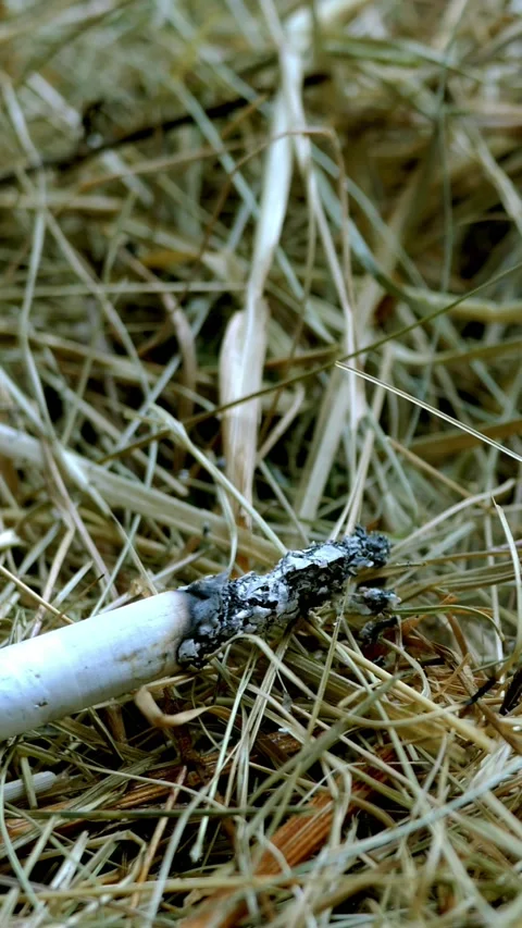 can you send cigarettes ups Can You Mail Cigarettes or Other Tobacco Products (2023 Guide) -  PostageGuru