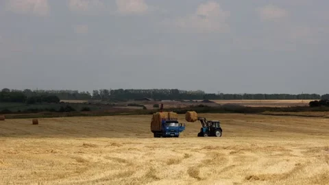 A Hay Loading Machine Loads Haystacks In... | Stock Video | Pond5