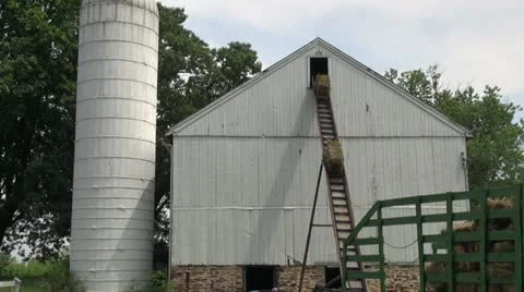 Hay into a loft Видео 11602738
