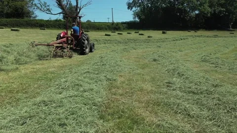 Hay Making 1 Stock Footage