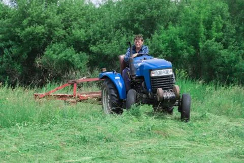 Hay making for animals Stock Photos