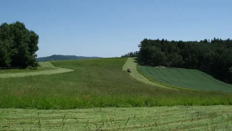 Hay making clip 1 Video stock 199206451