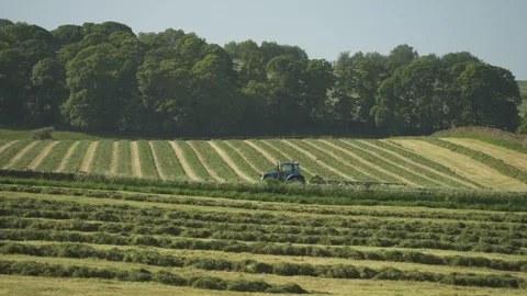 Hay making during spring, Baslow, Derbyshire, England Stock Footage 242423164