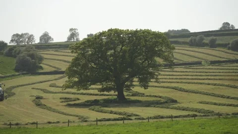 Hay making during spring, Baslow, Derbyshire, England Stock Footage 242423208