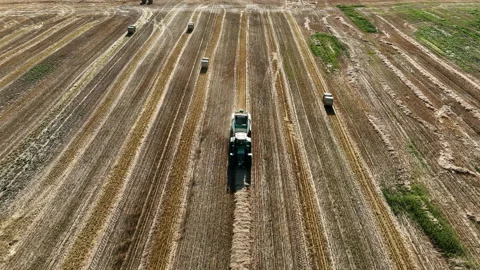 Hay making in field. Tractor with round baler. Vidéo 218285507