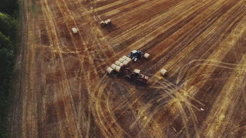Hay Making. Tractor transportation the round bales on Hay Trailer. Vídeos de archivo 204820595