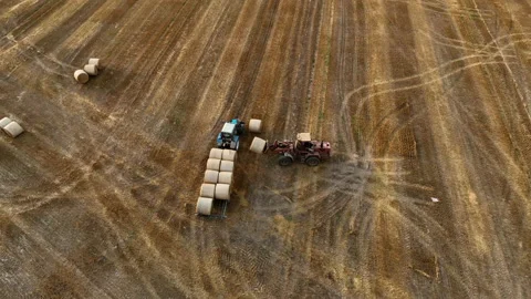 Hay Making. Tractor transportation the round bales on Hay Trailer. Stockbeeldmateriaal 204821994