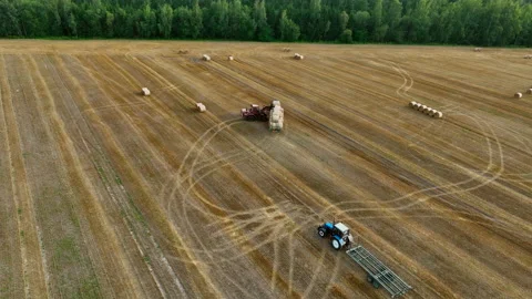 Hay Making. Tractor transportation the round bales on Hay Trailer. Stock Footage 204837589