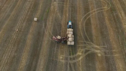 Hay Making. Tractor transportation the round bales on Hay Trailer. 動画素材 206561342