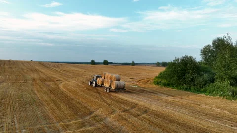Hay Making. Tractor transportation the round bales on Hay Trailer. 스톡 동영상 206567240