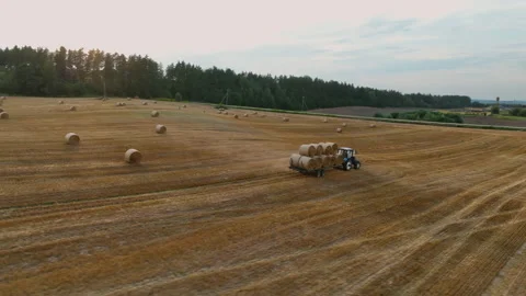 Hay Making. Tractor transportation the round bales on Hay Trailer. Vídeos de archivo 206569514