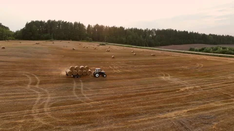 Hay Making. Tractor transportation the round bales on Hay Trailer. Stock-Footage 206572535