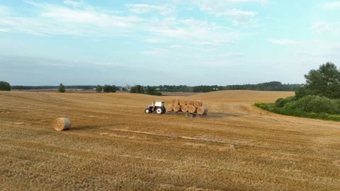 Hay Making. Tractor transportation the round bales on Hay Trailer. Video stock 208052500