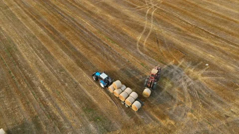 Hay Making. Tractor transportation the round bales on Hay Trailer. Stock-Footage 212452439