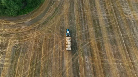 Hay Making. Tractor transportation the round bales on Hay Trailer Stock-Footage 213275333