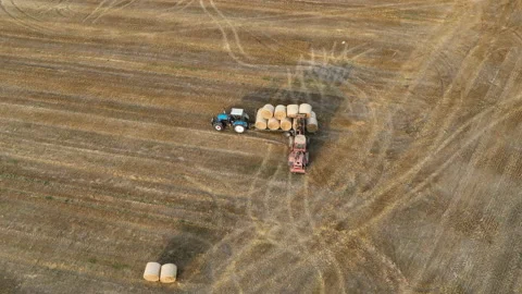 Hay Making. Tractor transportation the round bales on Hay Trailer Stock-Footage 213276764