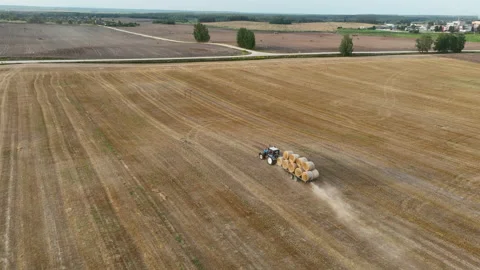 Hay Making. Tractor transportation the round bales on Hay Trailer Stockbeeldmateriaal 213280376