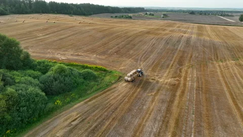 Hay Making. Tractor transportation the round bales on Hay Trailer 動画素材 213281090
