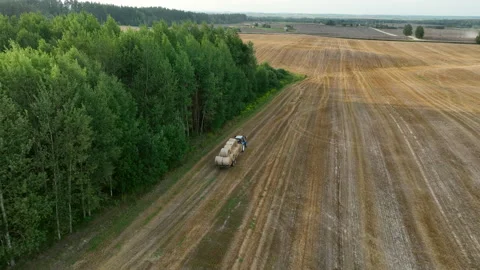 Hay Making. Tractor transportation the round bales on Hay Trailer Video stock 213281124