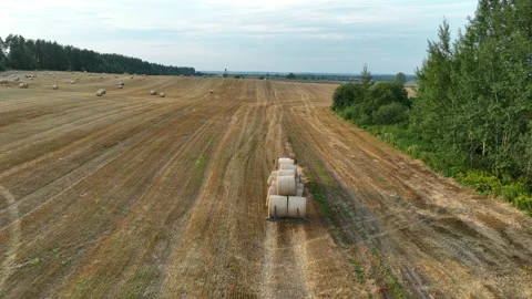 Hay Making. Tractor transportation the round bales on Hay Trailer Stock Footage 213285627
