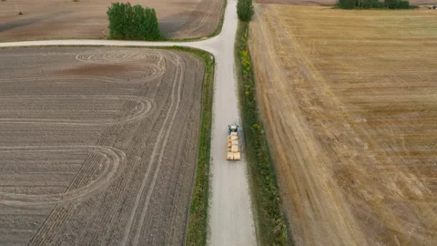 Hay Making. Tractor transportation the round bales on Hay Trailer Stock-Footage 213308076