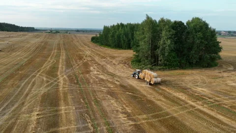 Hay Making. Tractor transportation the round bales on Hay Trailer Stock Footage 213308680