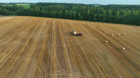 Hay Making. Tractor transportation the round bales on Hay Trailer Video stock 213309620