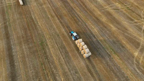 Hay Making. Tractor transportation the round bales on Hay Trailer Stock Footage 213310815