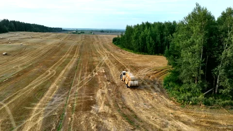 Hay Making. Tractor transportation the round bales on Hay Trailer. Stock Footage 219863177