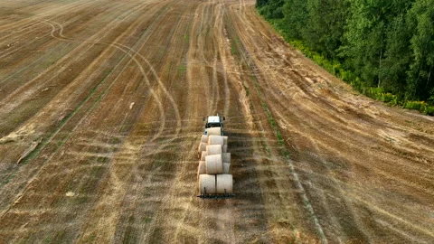 Hay Making. Tractor transportation the round bales on Hay Trailer. Stock Footage 219863647