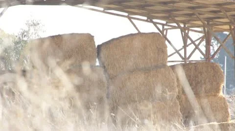 Hay in open barn 스톡 동영상 10722756