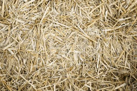 Hay or straw background texture Stock Photos
