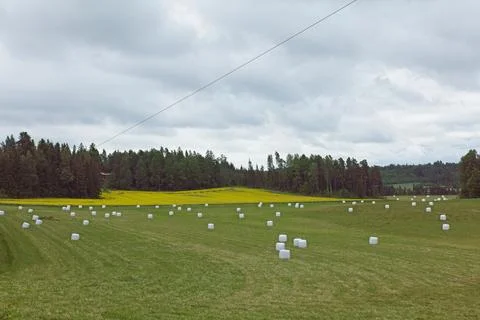 Hay packets. Stock Photos