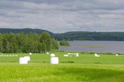 Hay packs Stock Photos