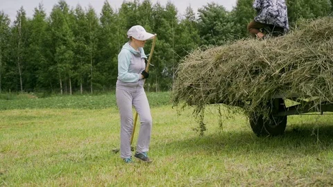 Hay on a personal plot. Harvesting hay for cattle. Stock Footage 120499265