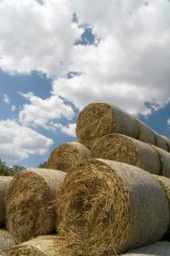 Hay Stock Photos