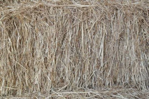 Hay Foto stock