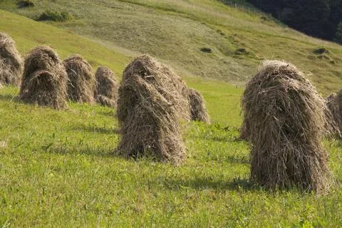 Hay Stock Photos