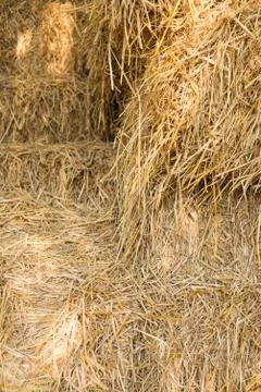 Hay Stock Photos