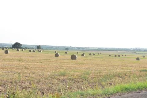 Hay Photos