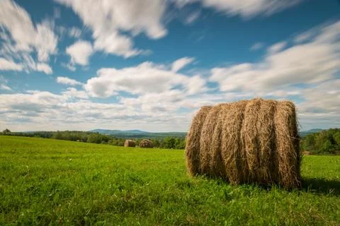 Hay Stock Photos