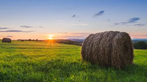 Hay Stock Photos