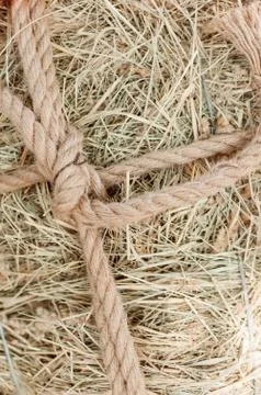 Hay Stock Photos