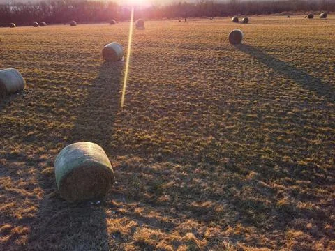Hay Stock Photos