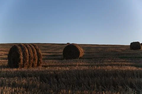 The hay Stock Photos