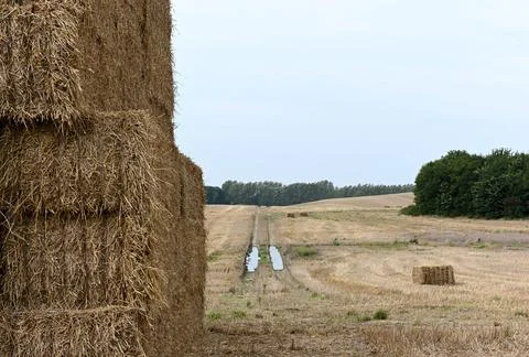 Hay Photos