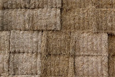 Hay Foto stock