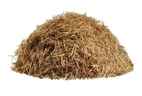 Hay pile Illustrazione stock
